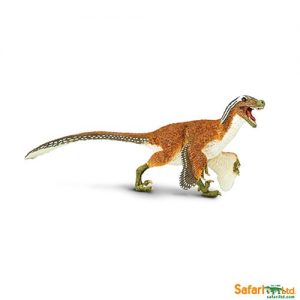 Feathered Velociraptor