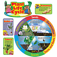 Plant Life Cycle