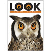 Look