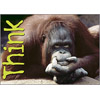 Think