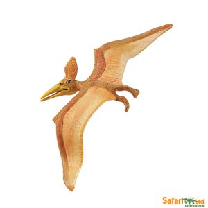 Pteranodon