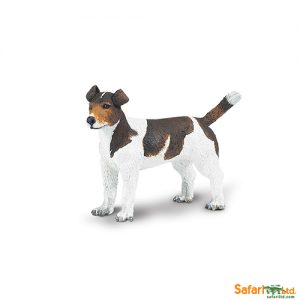 Jack Russell