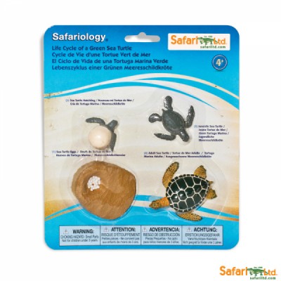 Life Cycle of a Green Sea Turtle Miniatures