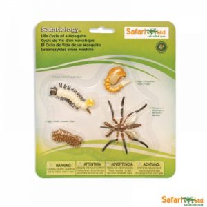 Life Cycle of a Mosquito Miniatures