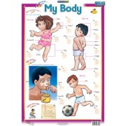 My Body