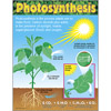 Photosynthesis