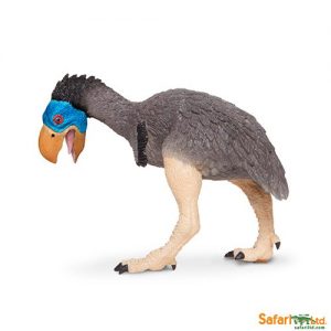 Gastornis