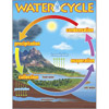 Water Cycle