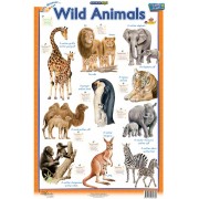 Wild Animals