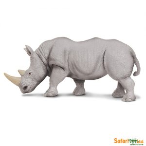 White Rhino
