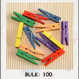 Wood Pegs Bright Colours 100's