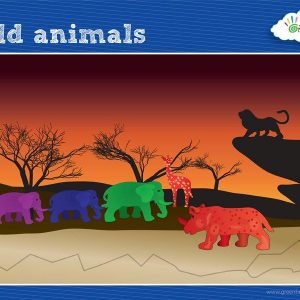 Activity Cards Wild Animal Counters