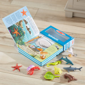 Play Along - At the Seashore