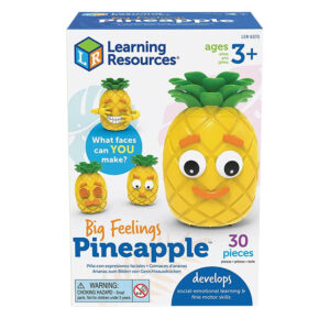 Big Feelings Pineapple