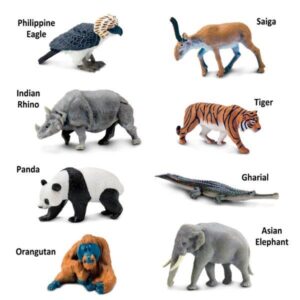 Asian Animals