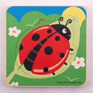 Ladybird Life Cycle Layer Puzzle