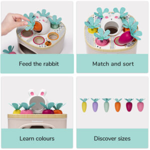 Match & Sort Carrots